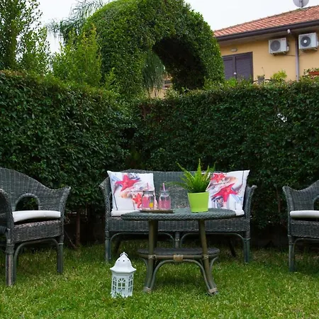 Apartment In Love
